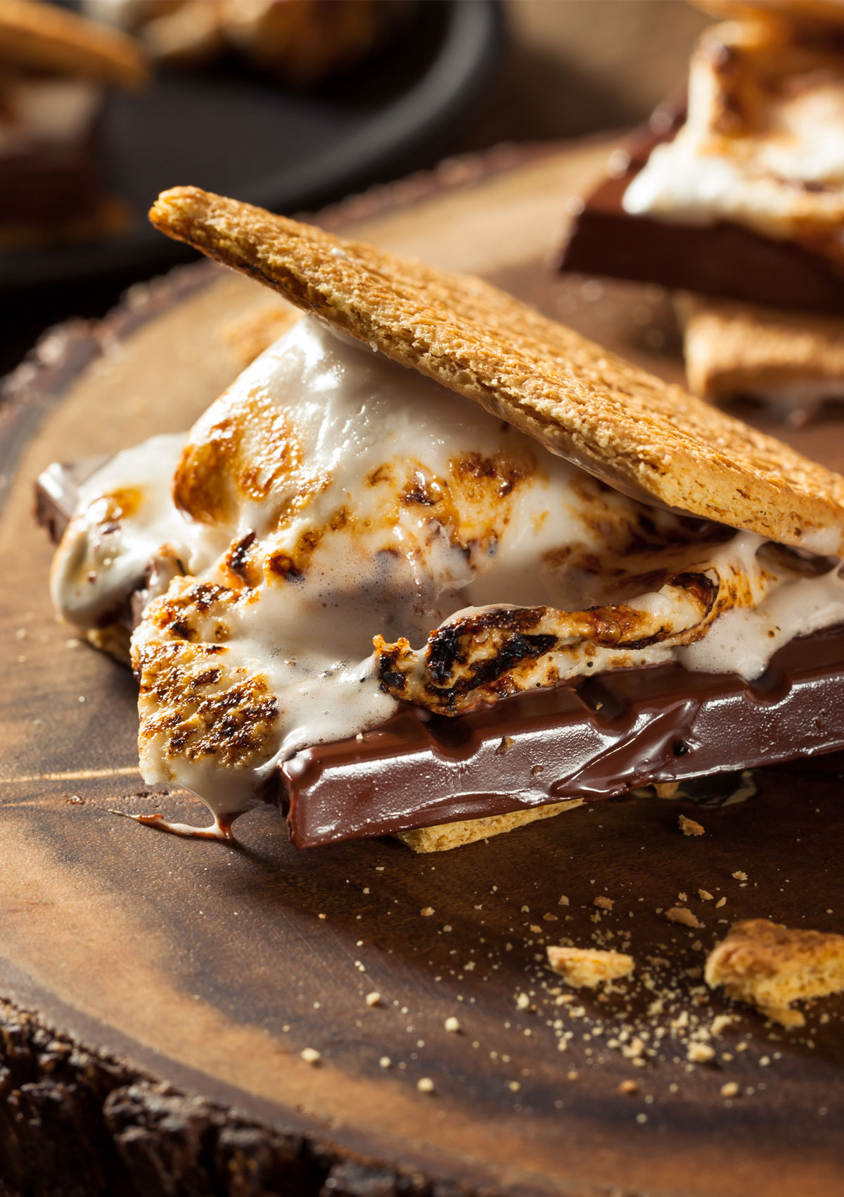 Campfire S'mores