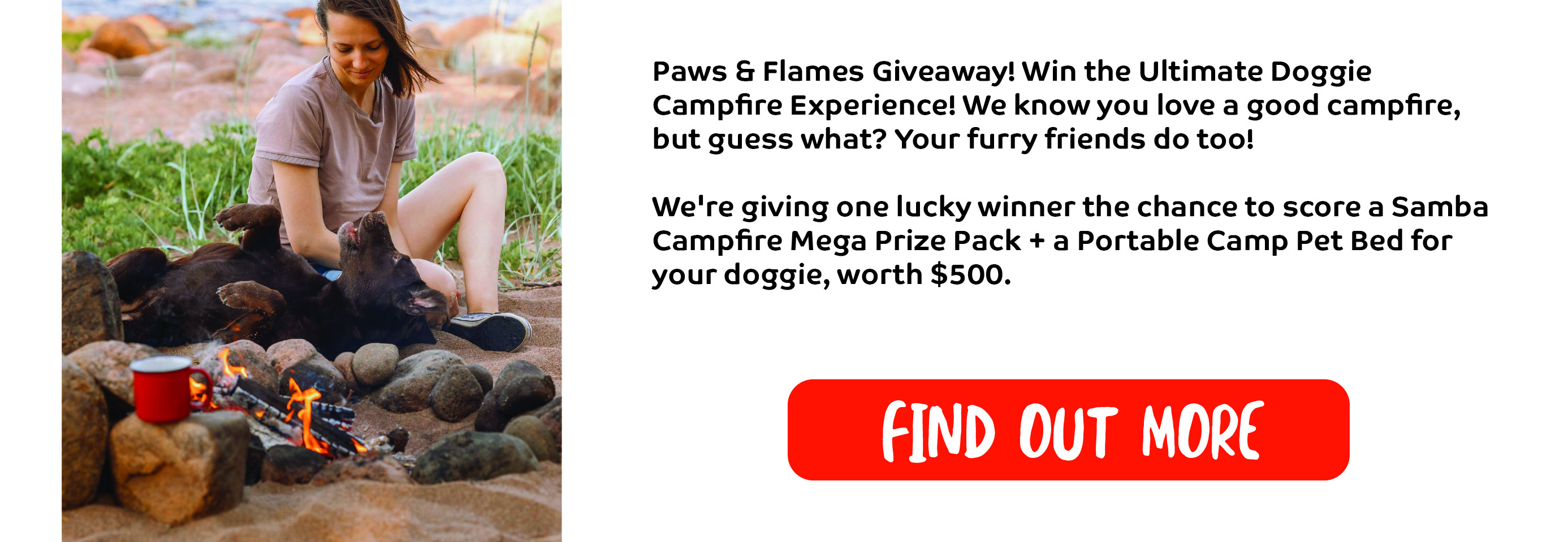 Paws and Flames Whats On Banner